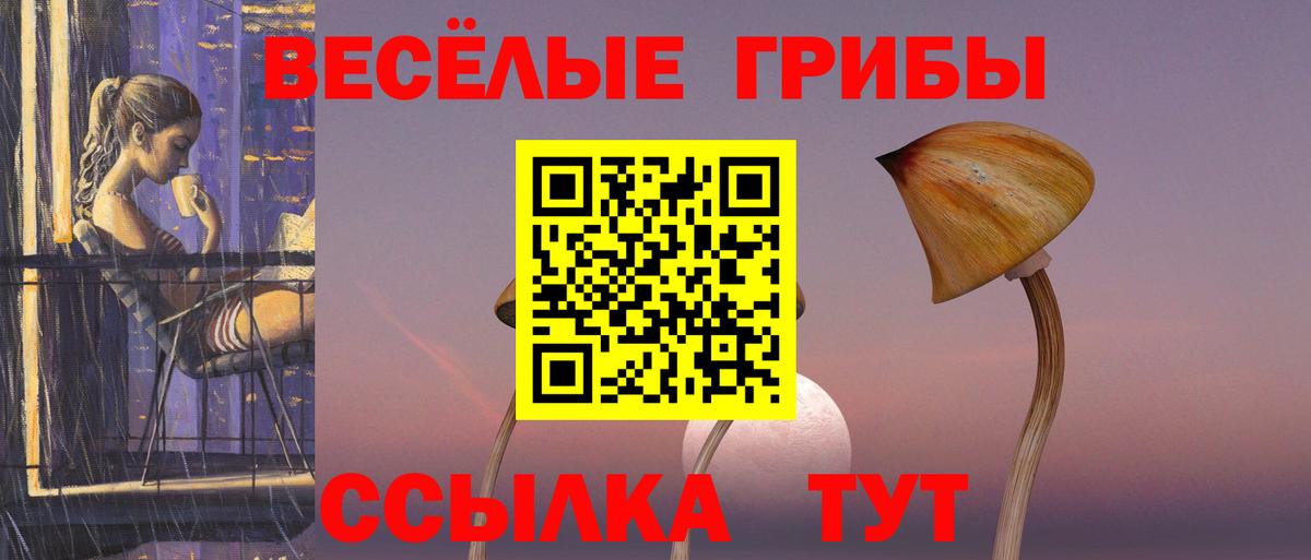 Галлюциногенные грибы Psilocybe Камышин